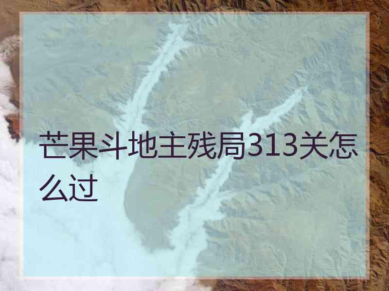 芒果斗地主残局313关怎么过