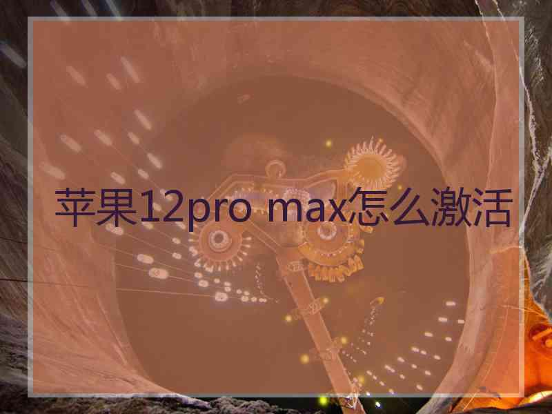 苹果12pro max怎么激活