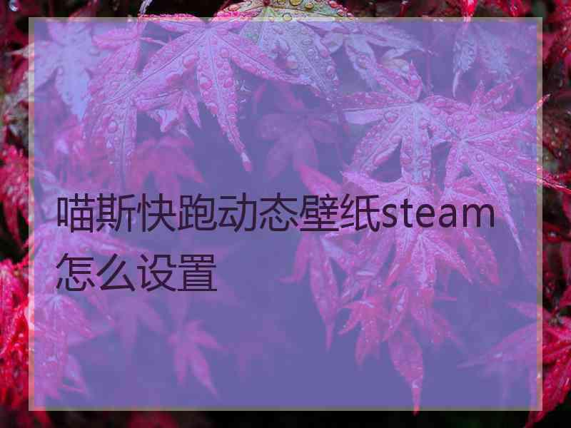 喵斯快跑动态壁纸steam怎么设置