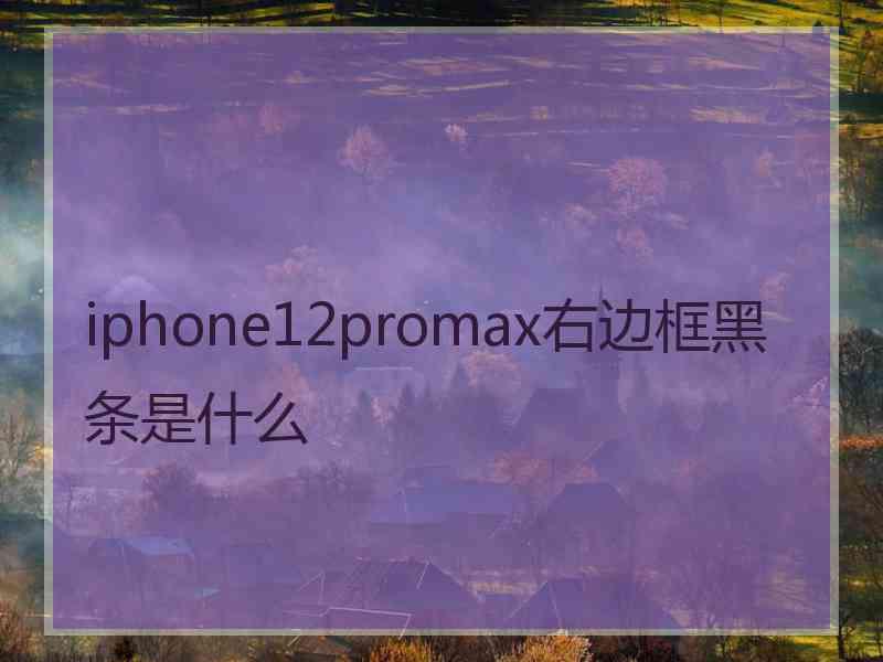 iphone12promax右边框黑条是什么