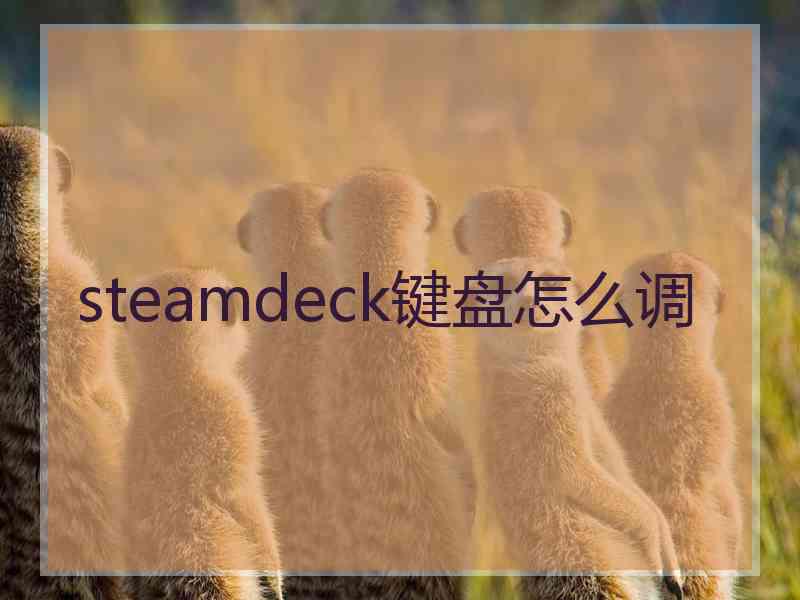 steamdeck键盘怎么调