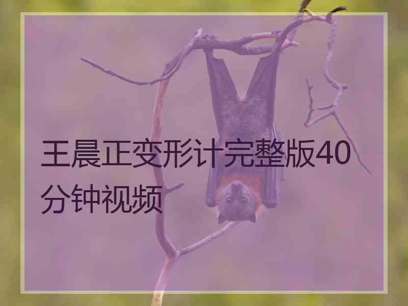 王晨正变形计完整版40分钟视频