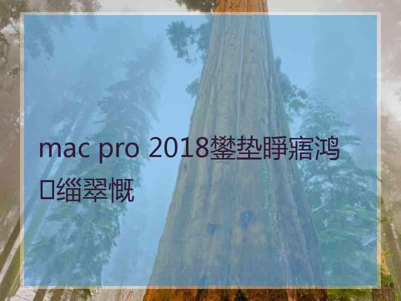 mac pro 2018鐢垫睜寤鸿缁翠慨