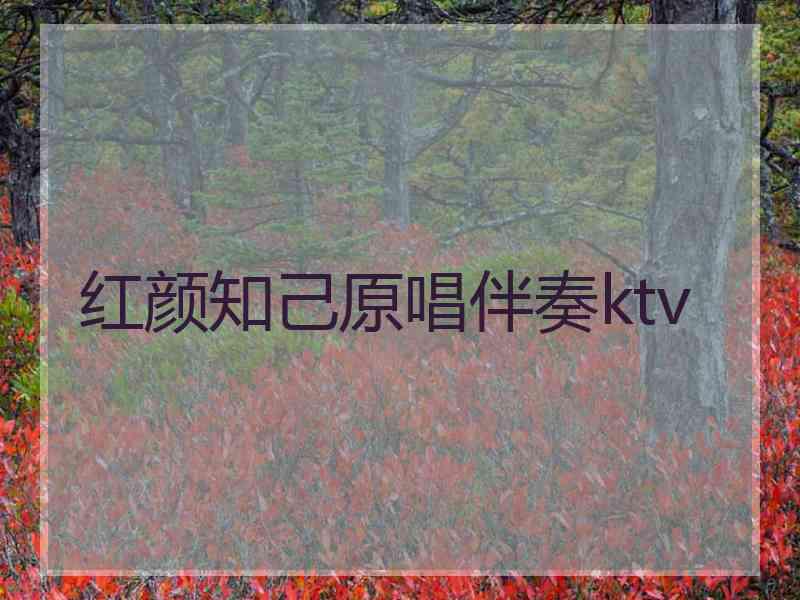 红颜知己原唱伴奏ktv