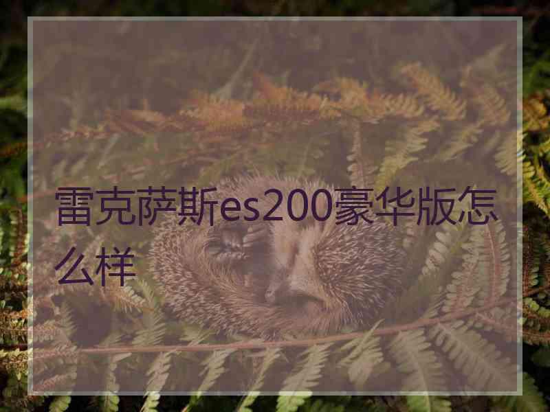 雷克萨斯es200豪华版怎么样