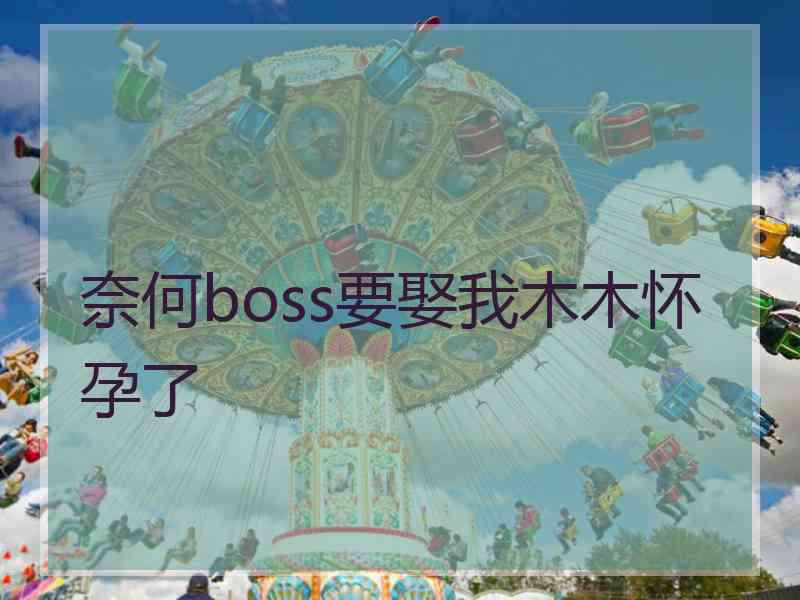 奈何boss要娶我木木怀孕了