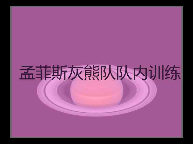 孟菲斯灰熊队队内训练