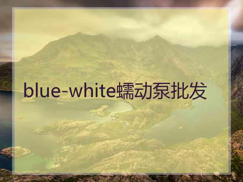 blue-white蠕动泵批发