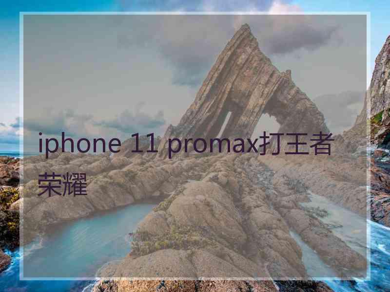 iphone 11 promax打王者荣耀