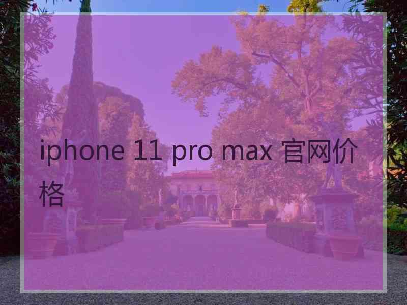 iphone 11 pro max 官网价格