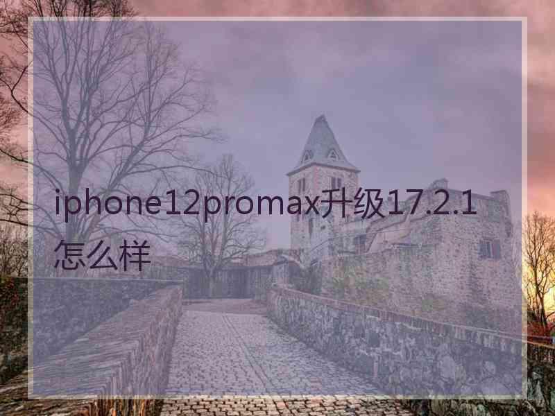 iphone12promax升级17.2.1怎么样