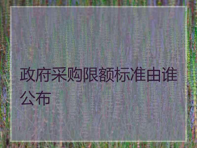 政府采购限额标准由谁公布