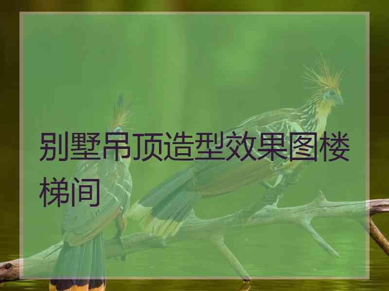 别墅吊顶造型效果图楼梯间