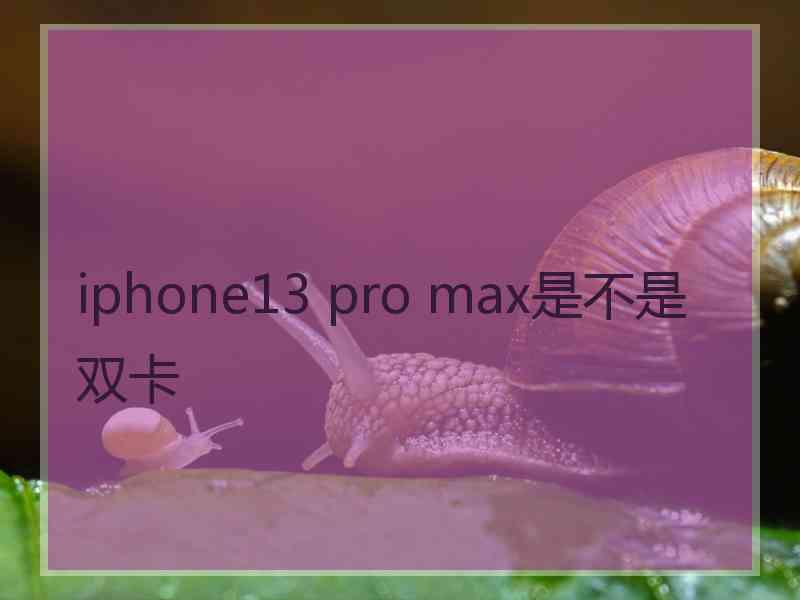 iphone13 pro max是不是双卡