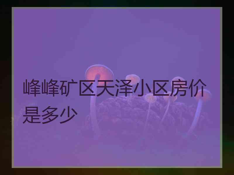 峰峰矿区天泽小区房价是多少