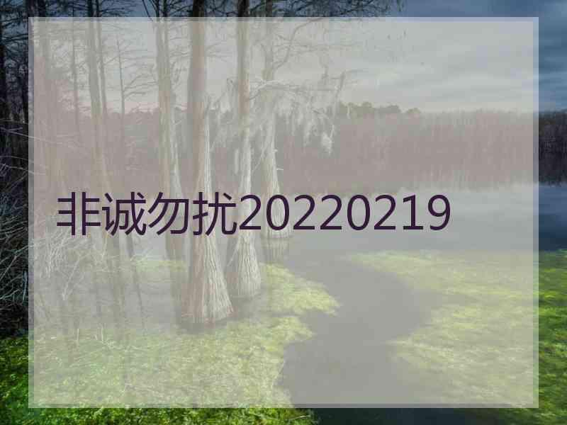 非诚勿扰20220219