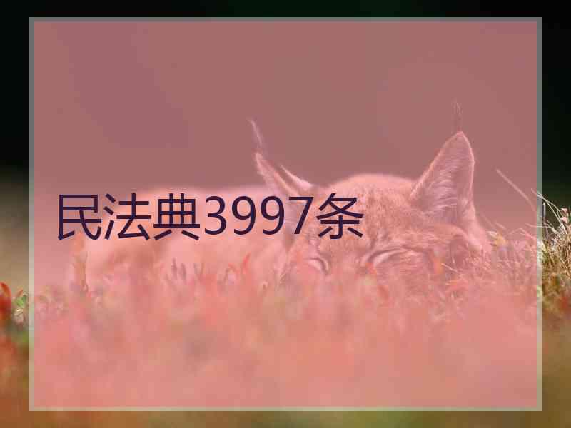 民法典3997条