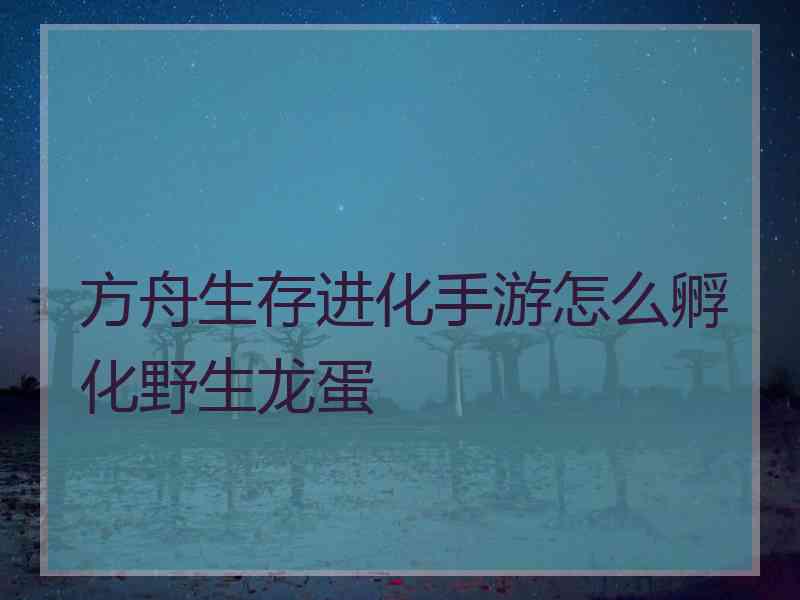 方舟生存进化手游怎么孵化野生龙蛋