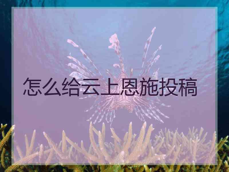 怎么给云上恩施投稿