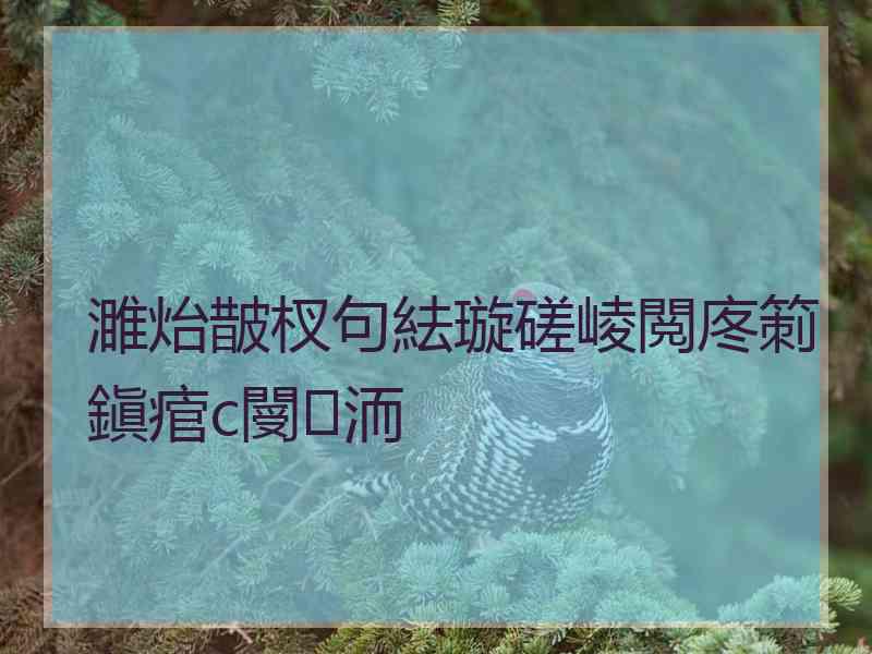 濉炲皵杈句紶璇磋崚閲庝箣鎭痯c閿洏