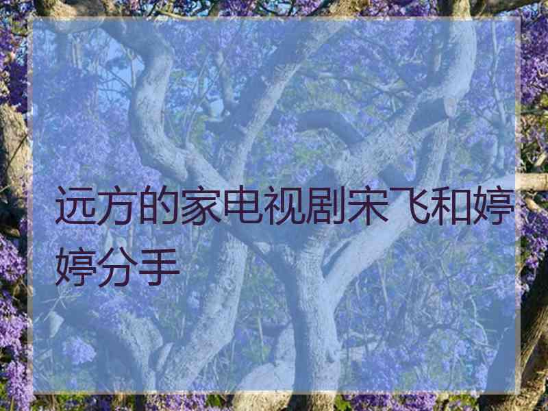 远方的家电视剧宋飞和婷婷分手