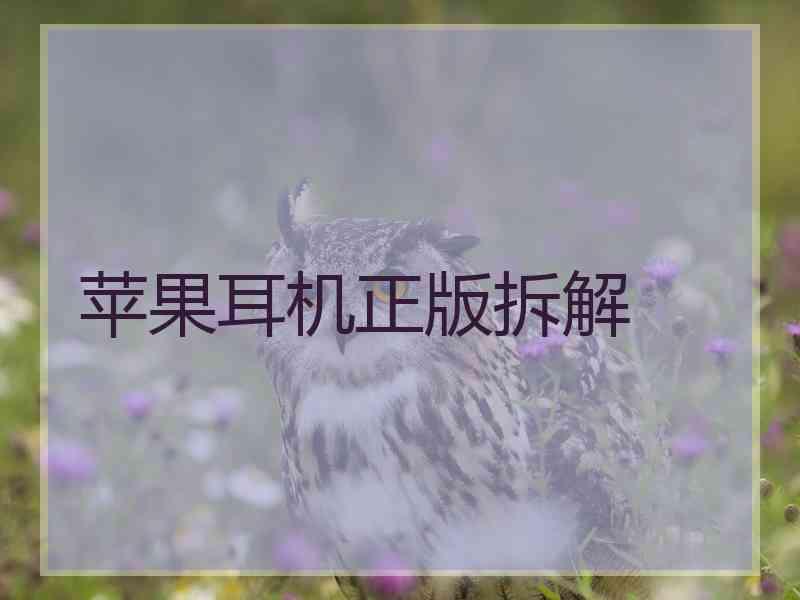 苹果耳机正版拆解