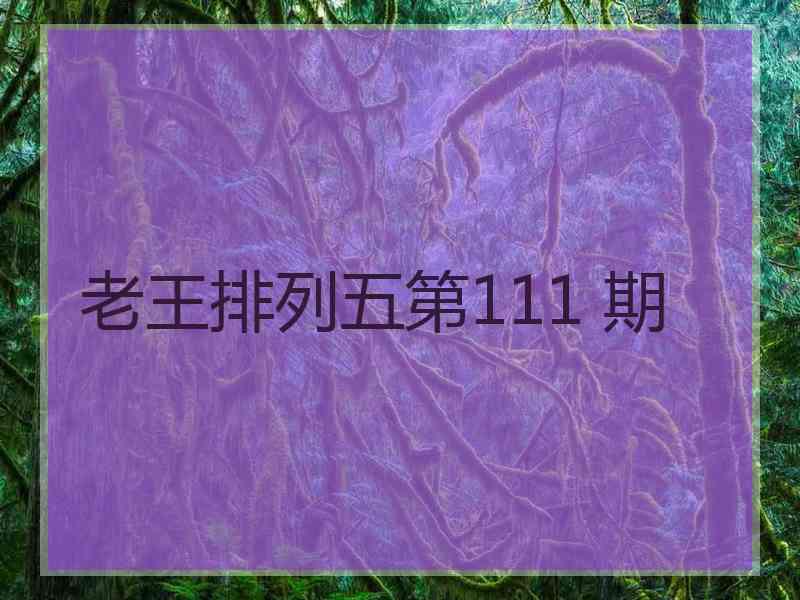 老王排列五第111 期