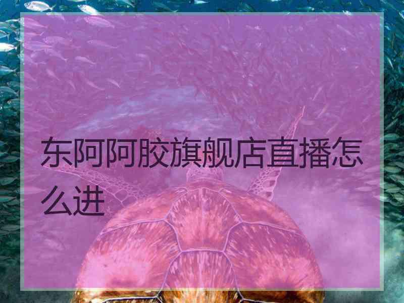 东阿阿胶旗舰店直播怎么进