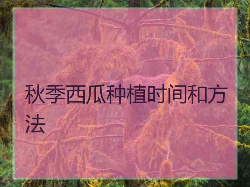 秋季西瓜种植时间和方法