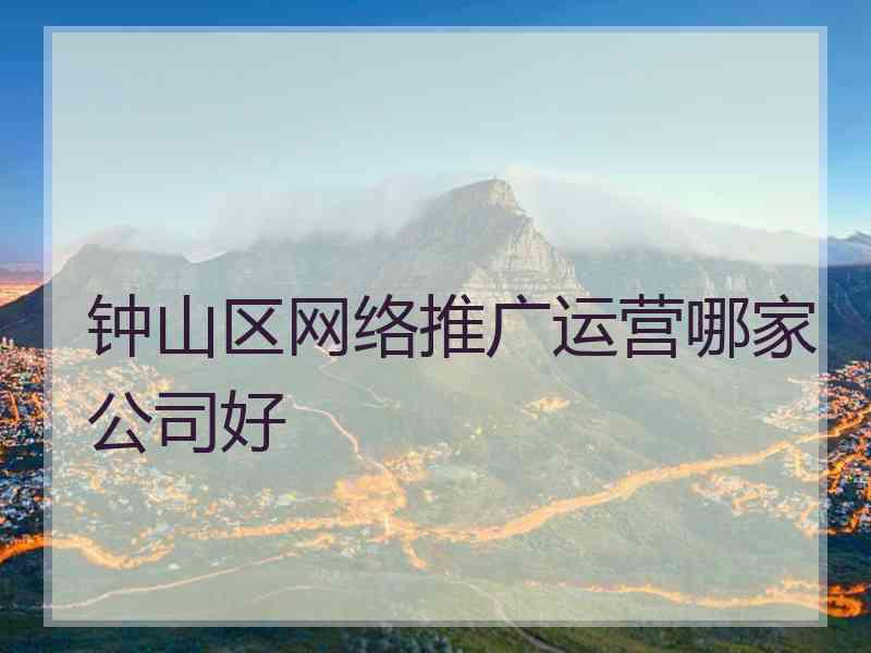 钟山区网络推广运营哪家公司好