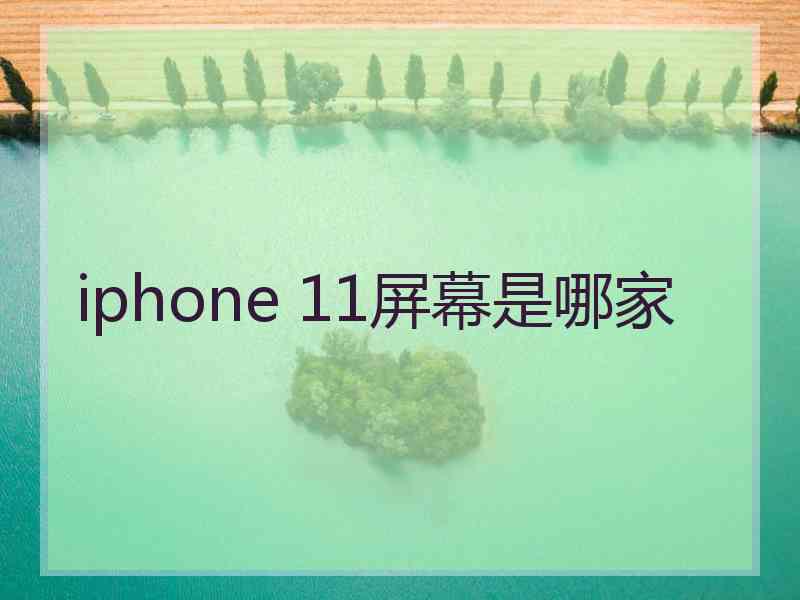 iphone 11屏幕是哪家