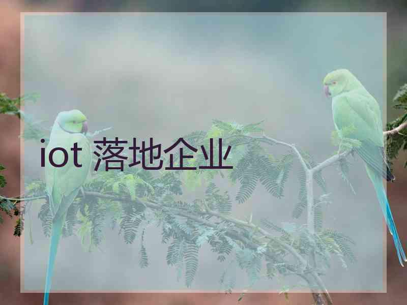 iot 落地企业