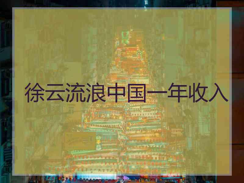 徐云流浪中国一年收入