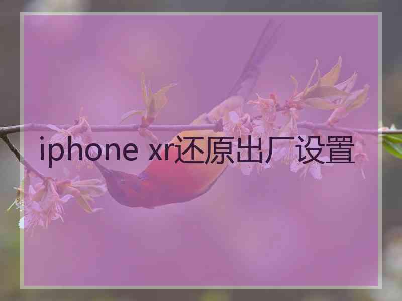 iphone xr还原出厂设置