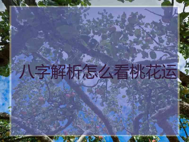 八字解析怎么看桃花运