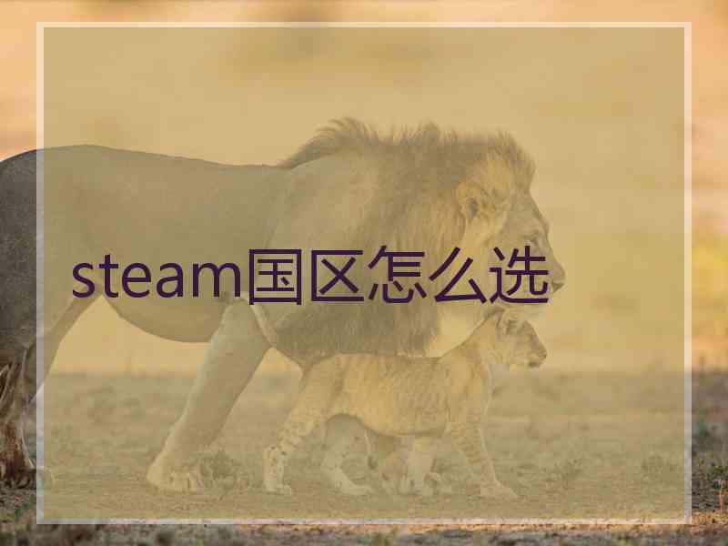 steam国区怎么选