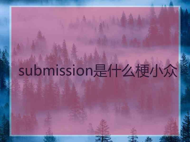 submission是什么梗小众