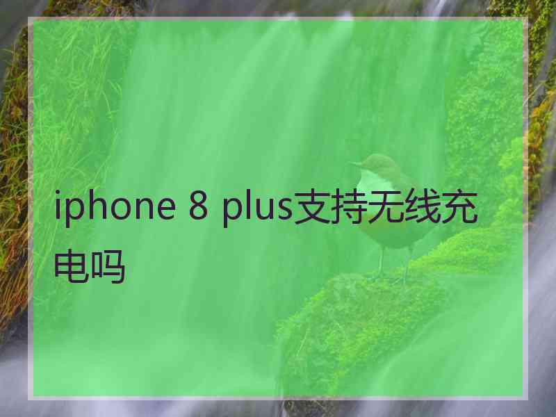 iphone 8 plus支持无线充电吗