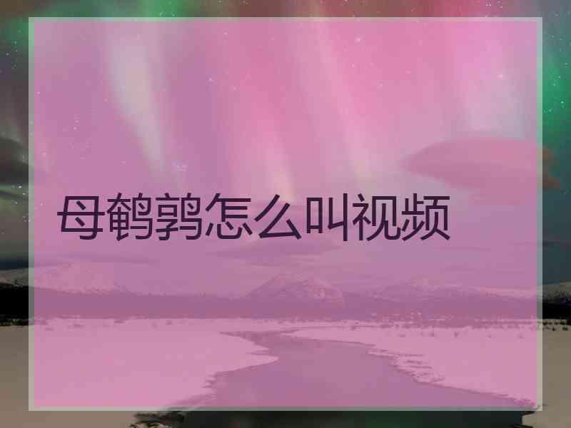 母鹌鹑怎么叫视频