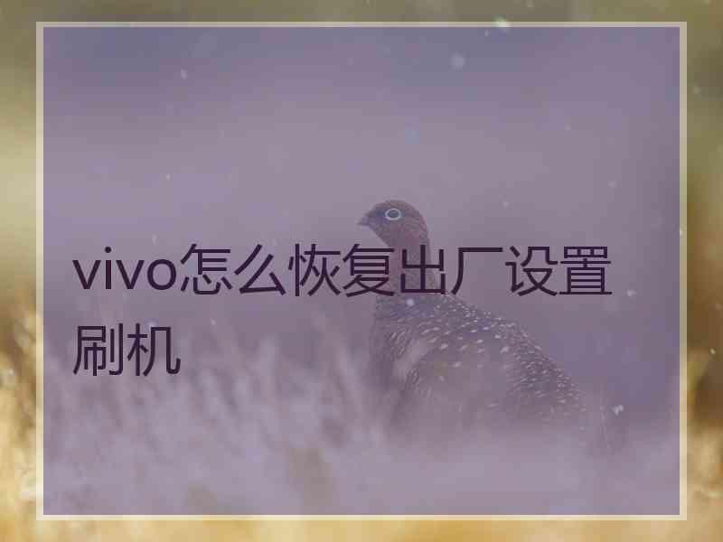 vivo怎么恢复出厂设置 刷机