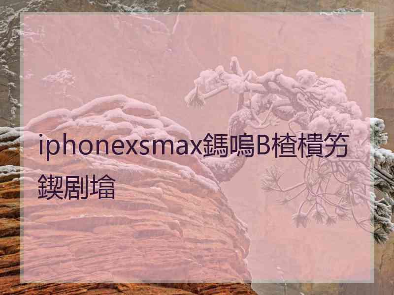 iphonexsmax鎷嗚В楂樻竻鍥剧墖