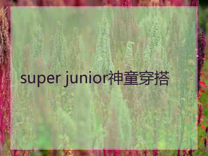 super junior神童穿搭