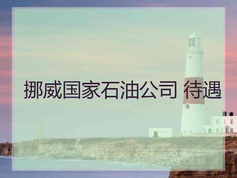 挪威国家石油公司 待遇