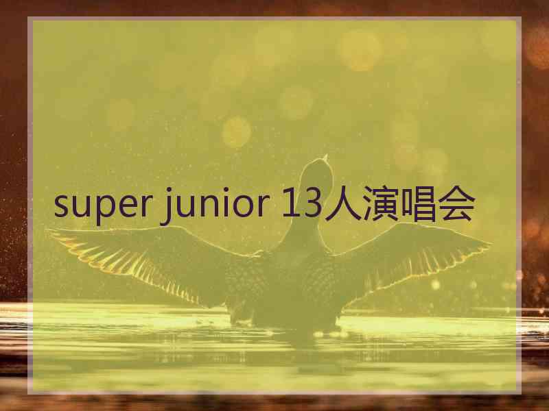 super junior 13人演唱会