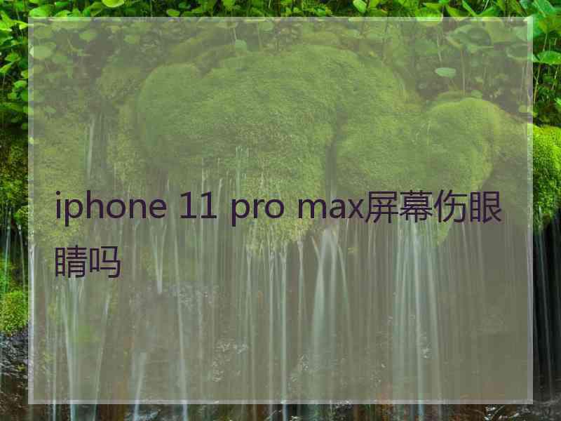 iphone 11 pro max屏幕伤眼睛吗