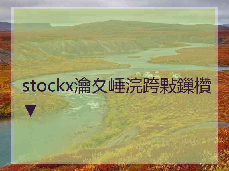 stockx瀹夊崜浣跨敤鏁欑▼