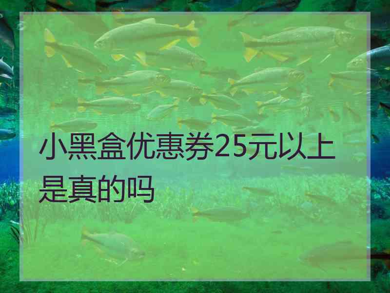 小黑盒优惠券25元以上是真的吗