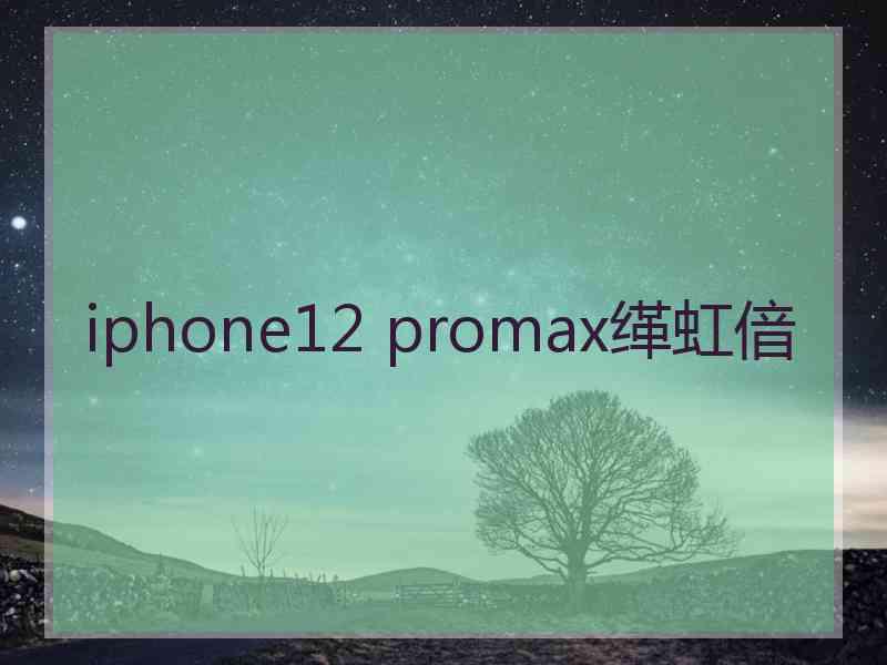 iphone12 promax缂虹偣