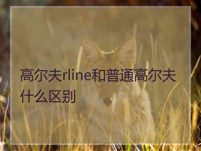 高尔夫rline和普通高尔夫什么区别