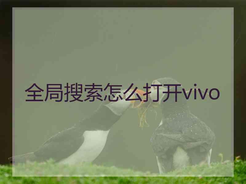 全局搜索怎么打开vivo